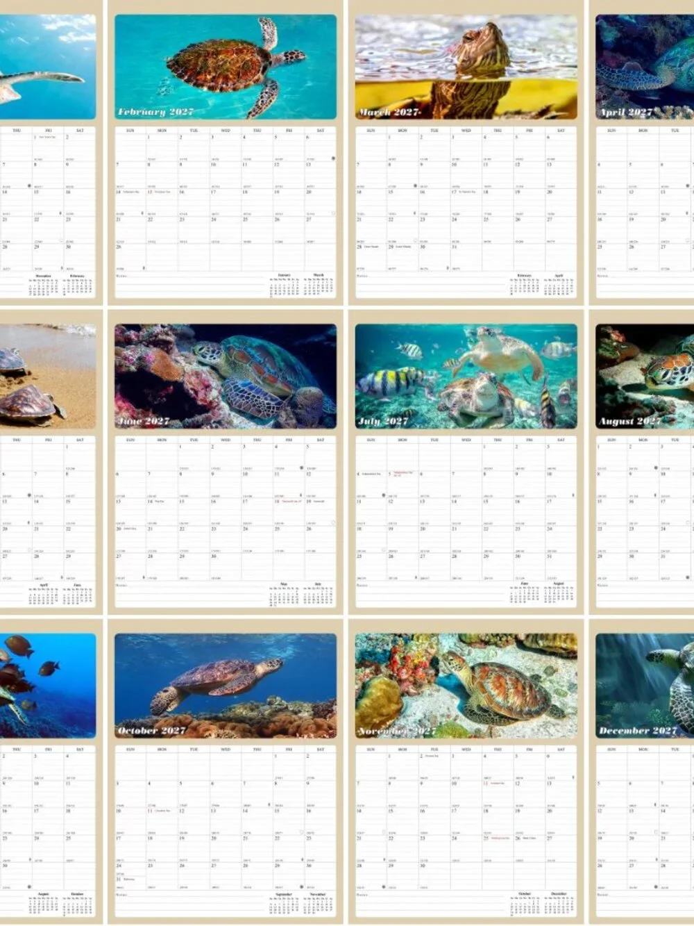 2027 Wall Calendar Spiral-bound Twin - 12 Months Planner 8.5 x 11 (Turtles)